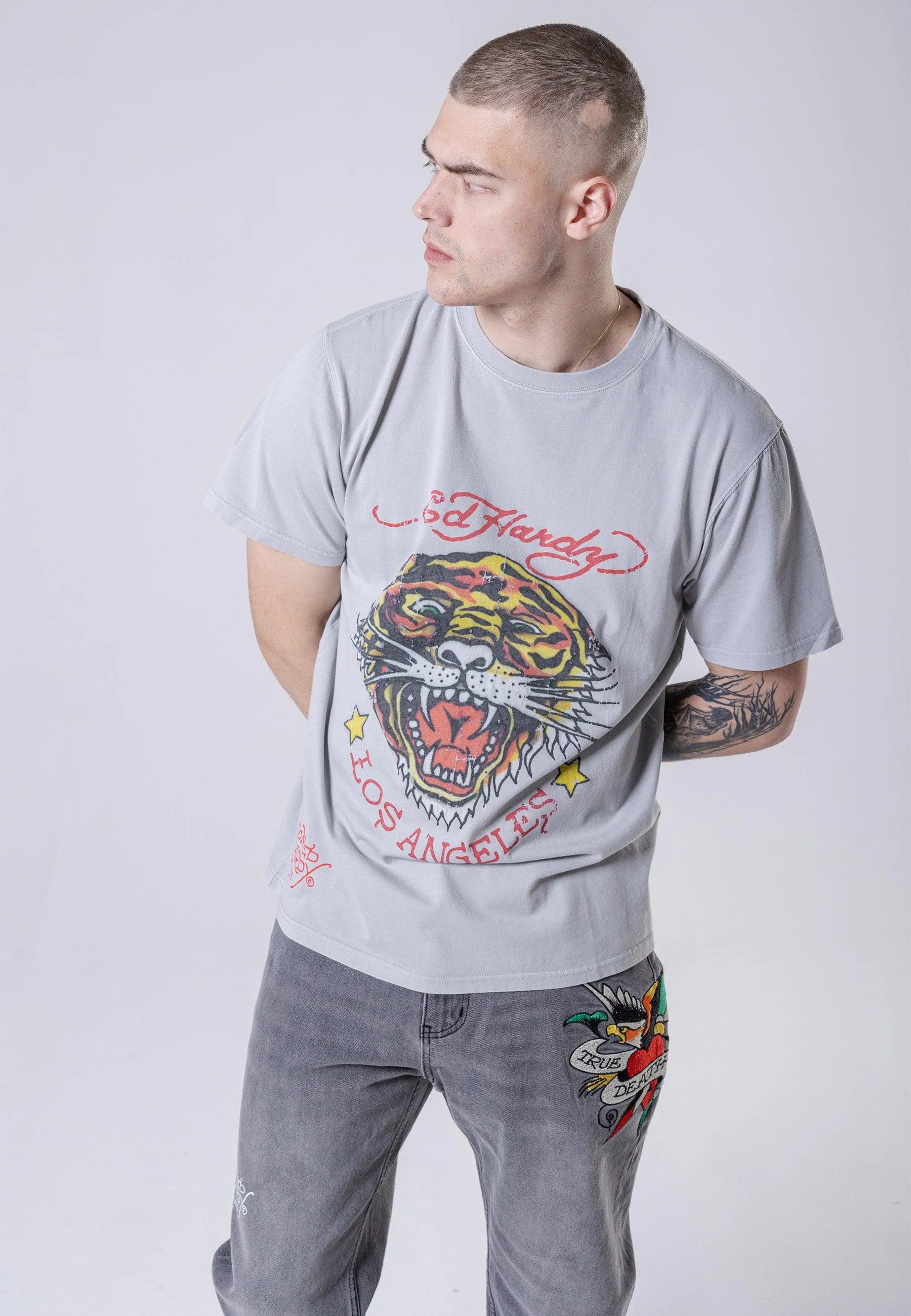 Mens Tiger-Vintage Roar T-Shirt - Grey