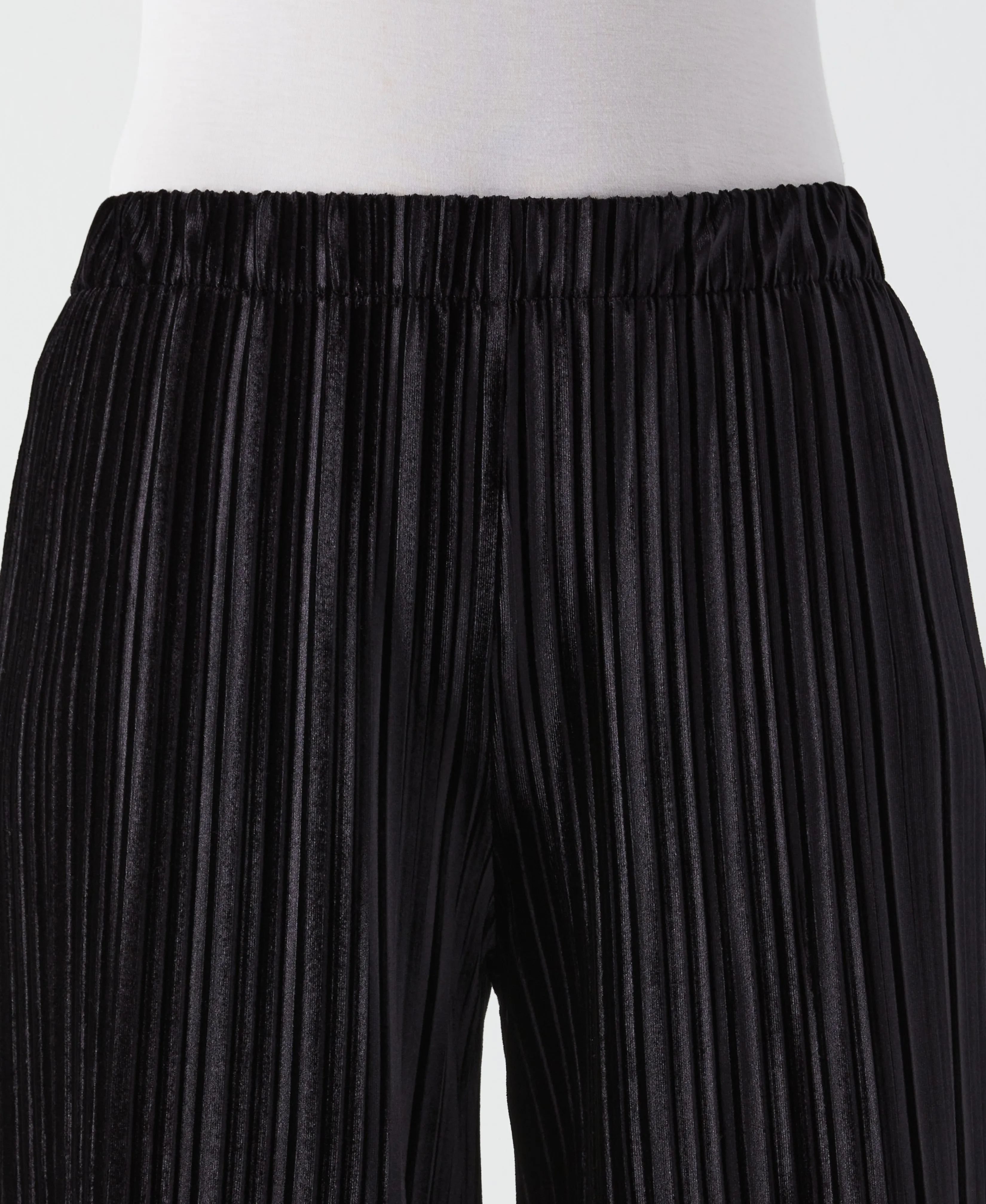 Pleated Velvet Wide Leg Pant