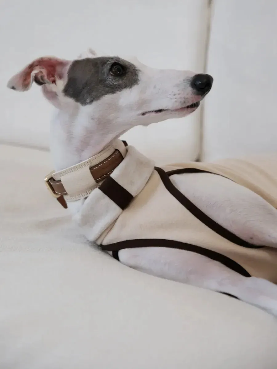 Soft & Skin-Friendly Cloud Dog Vest