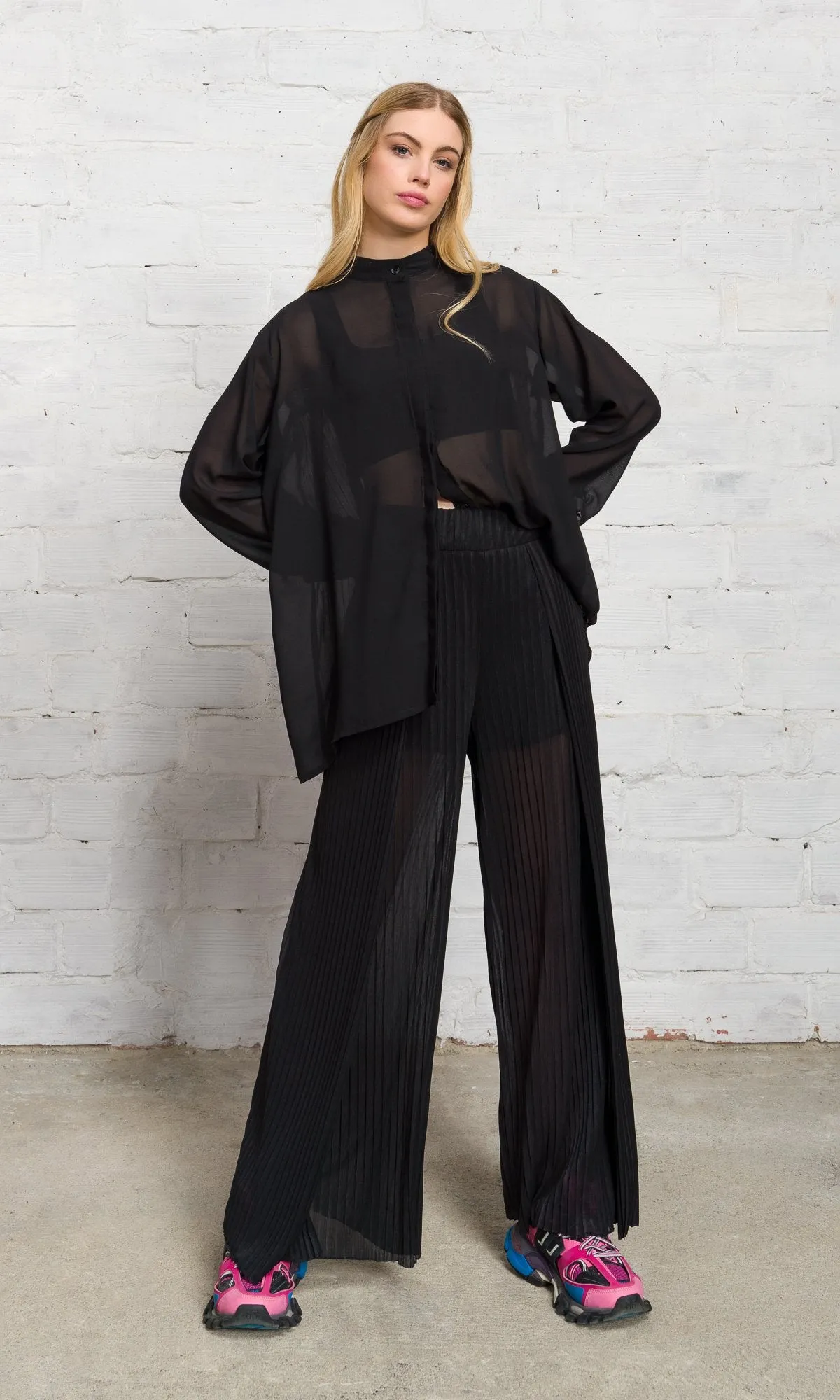 Two-piece Set of Sheer Pleated Pants