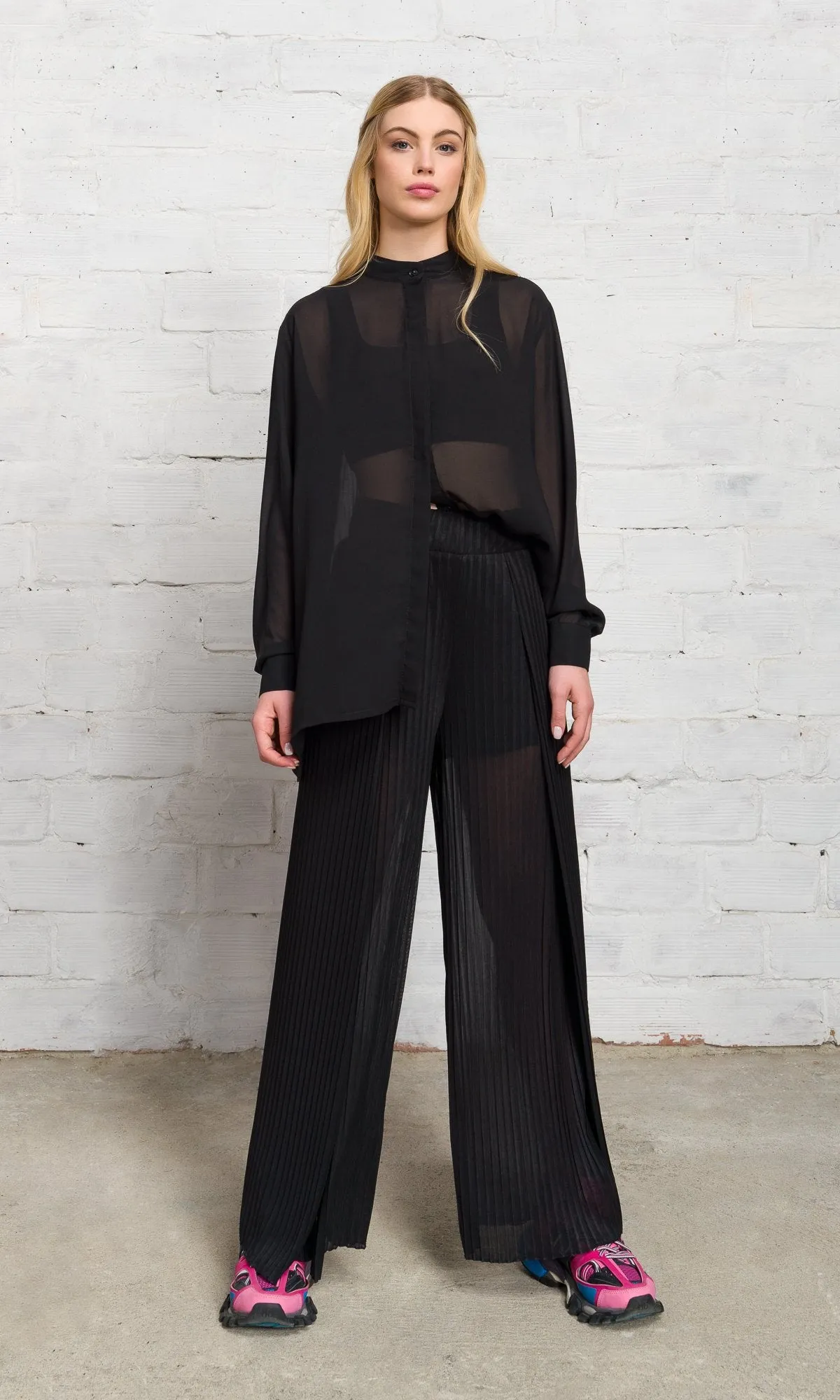 Two-piece Set of Sheer Pleated Pants